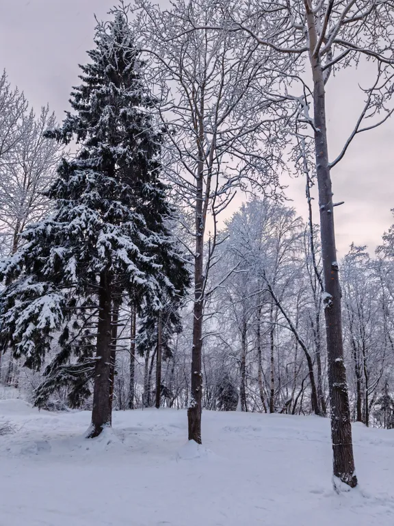 Уютный дом-баня у реки Юрас