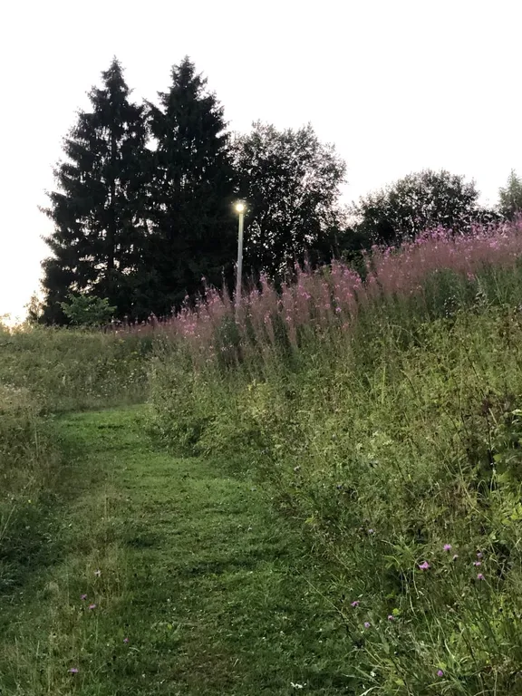 Коттедж Лесной на базе отдыха Заячий хутор на Валдай