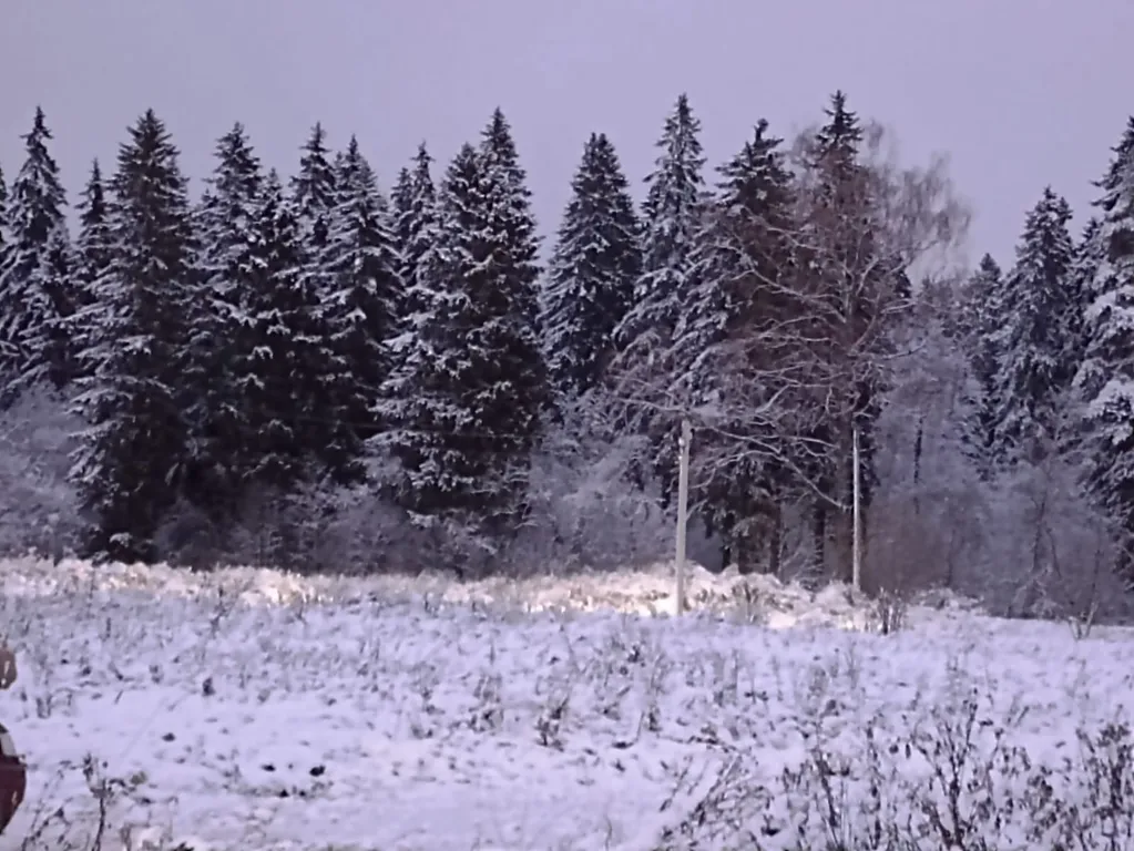 Уютный новый дом рядом с городом
