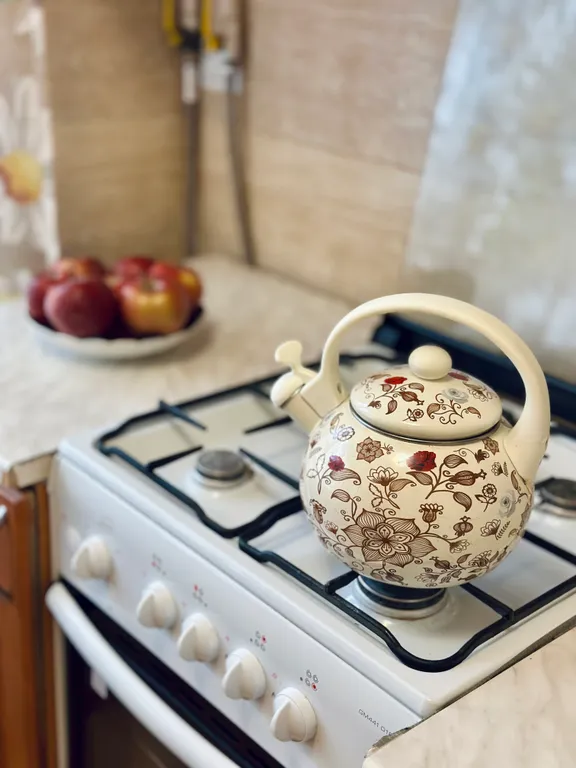 Уютная квартира в самом центре Великого Новгорода