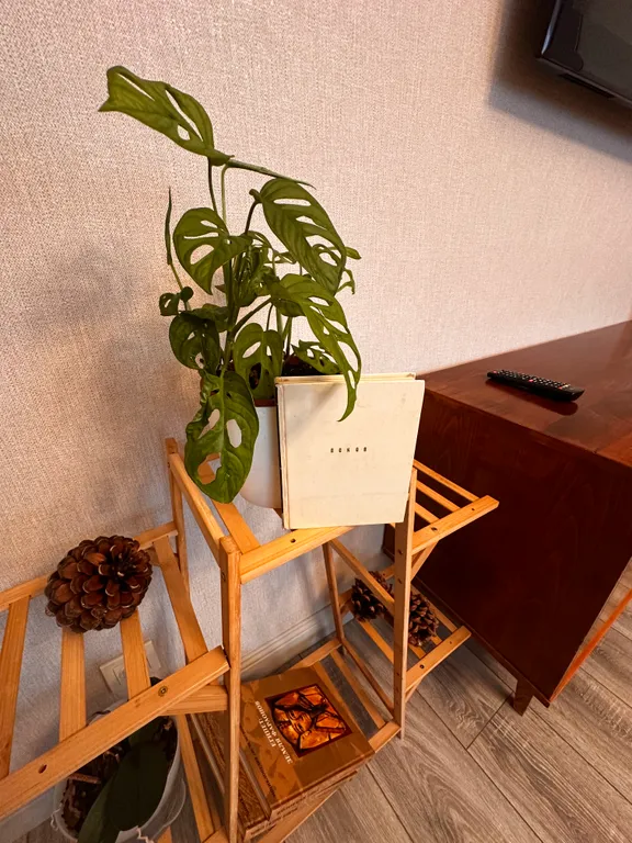 Стильная квартира в центре города