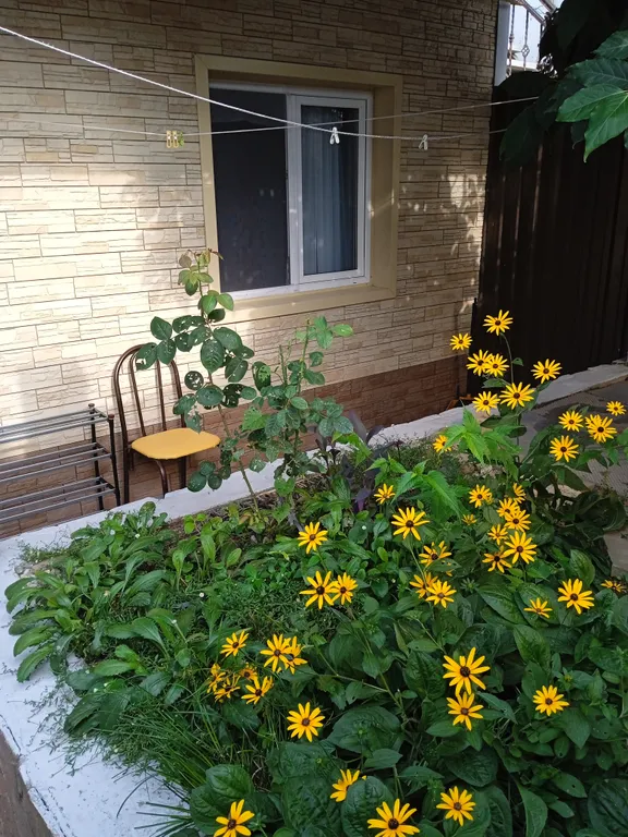 Квартира Комната — Адлер