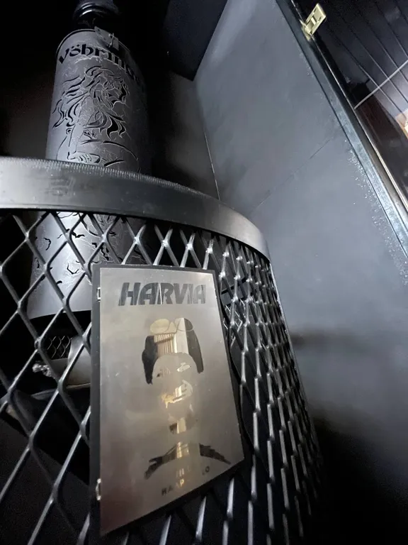 Большое солнечное шале Афрейм с баней и купелью в березовом лесу