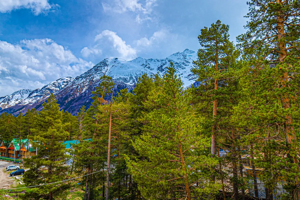 Квартира с панорамным видом Кавказские горы