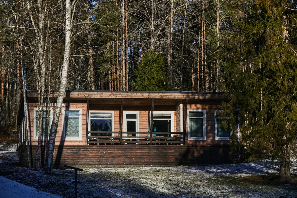 Большой коттедж с 5 спальнями, камином и террасой, Василек