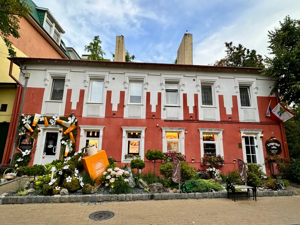 Мяу-квартира на Курортном проспекте