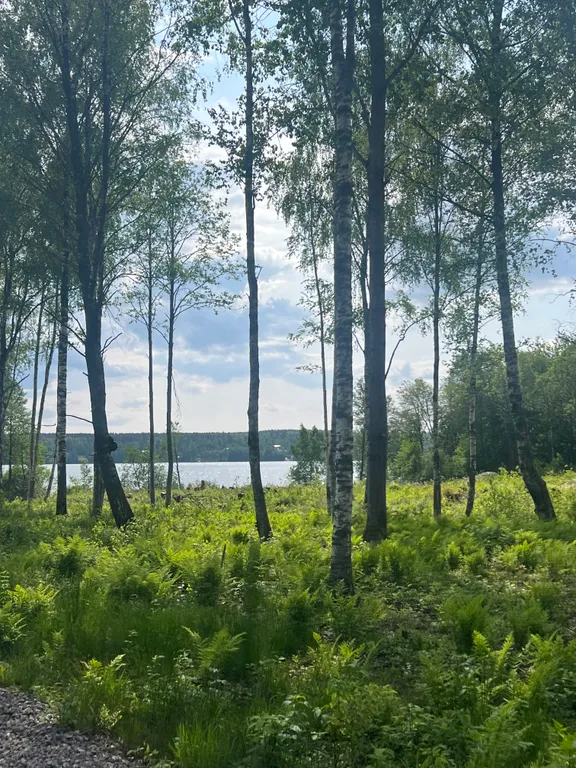 Дом у озера