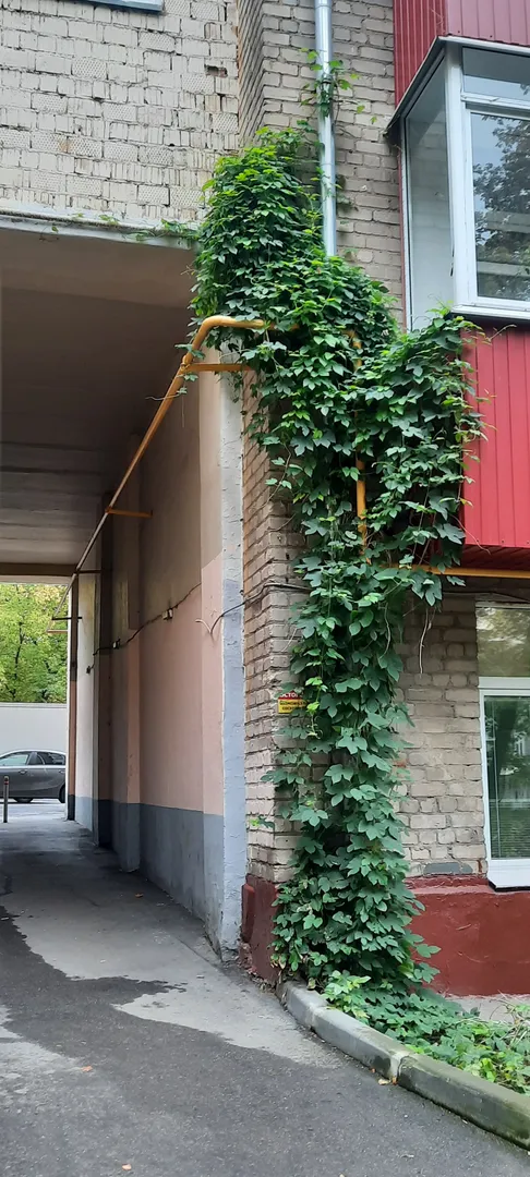 Арки в доме