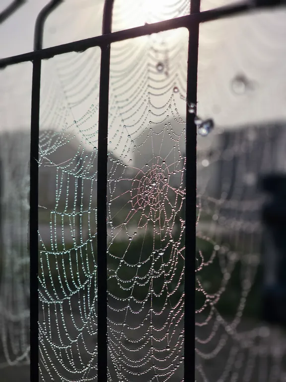 Дача вдохновения на море