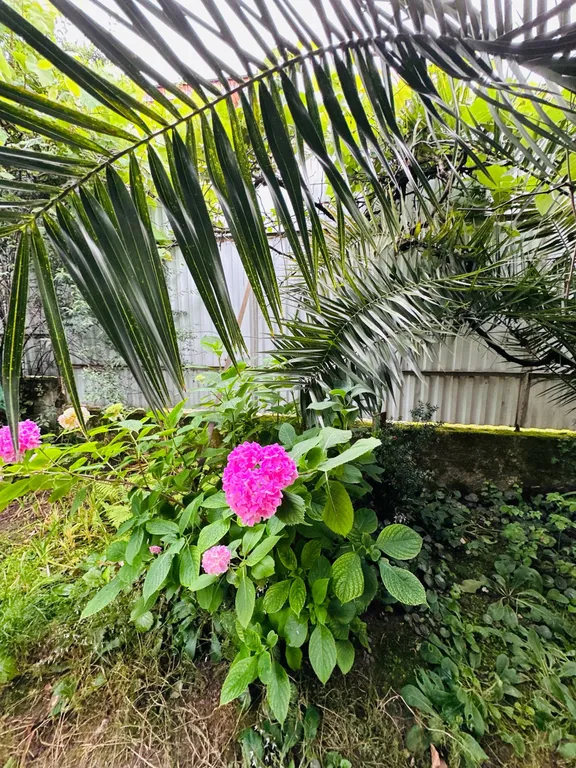 Двухэтажный дом под ключ у моря в Новом Афоне