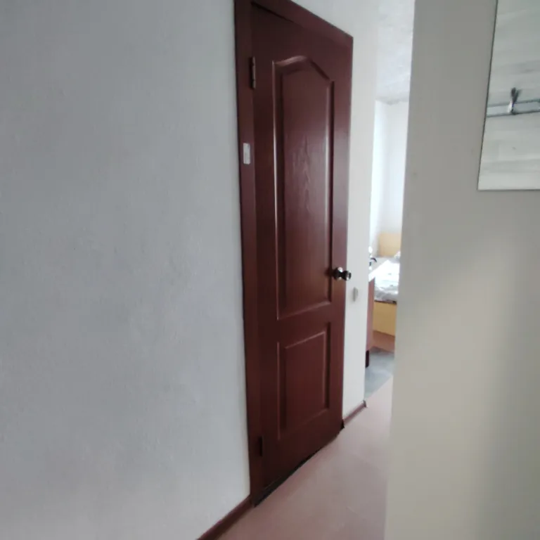 Студия в квартире с персональным санузлом и кухонным блоком