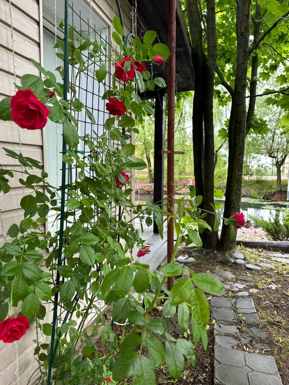 Коттедж Дом с баней, барбекю зоной и большой беседкой — Новый Городок