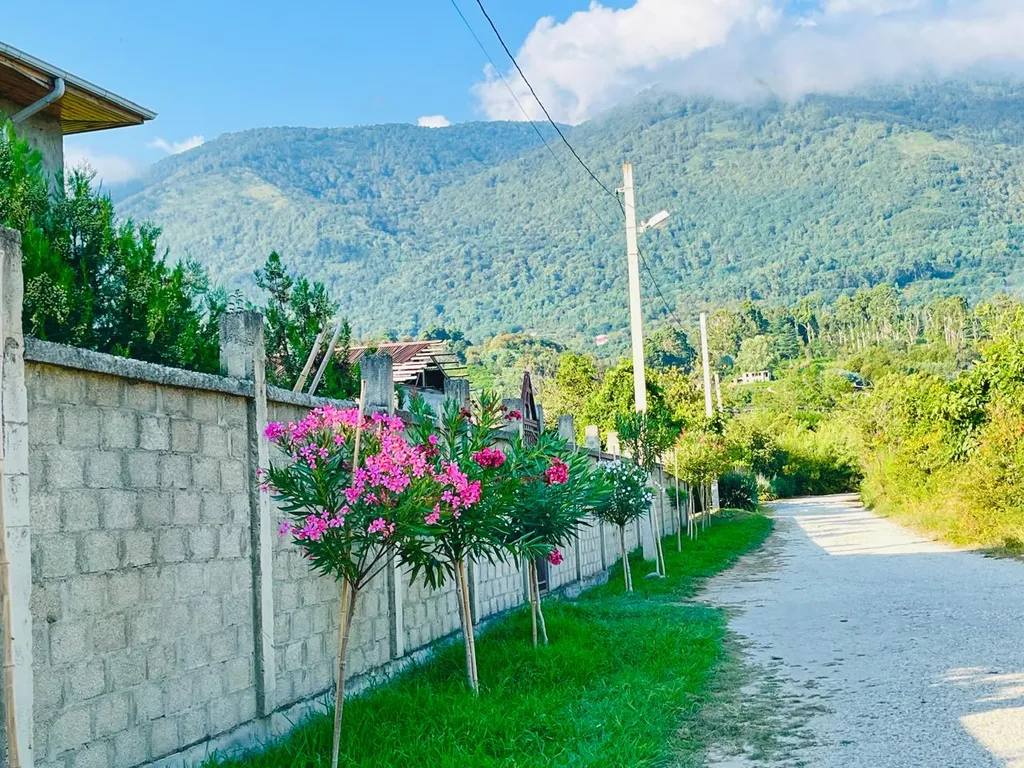 Квартира Квартира Гостевой дом "Витторио" с панорамным видом на горы — Гагра