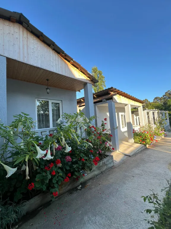 Коттедж 1-комнатный Дом — аренда посуточно в Псырцха