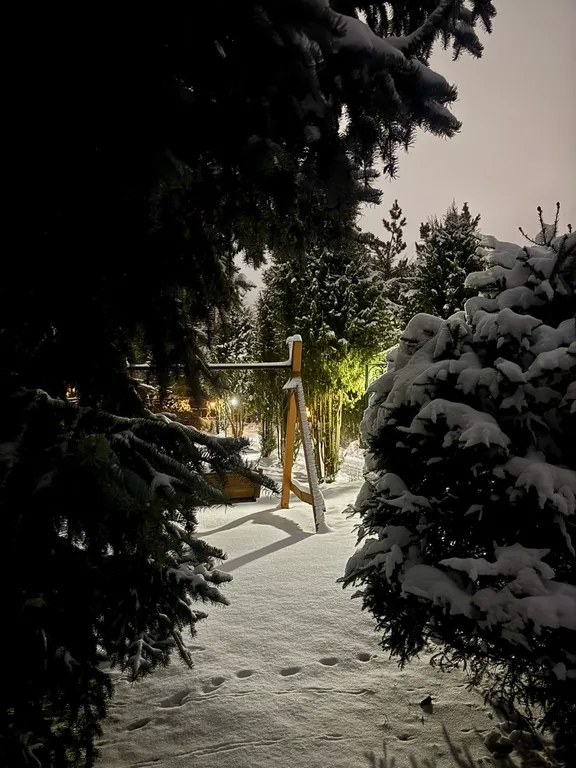 Купеческий дом