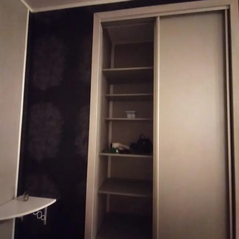 Квартира Уютная квартира, удобная транспортная доступность, зелёный микрорайон — Пушкин