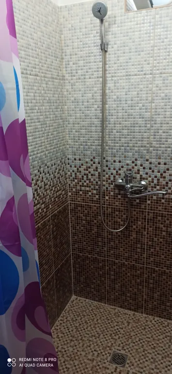 Сосновый бор