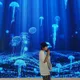 Фаниль