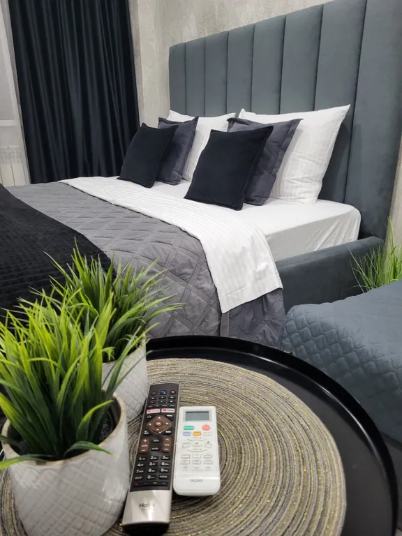 Квартира Шикарная студия в центре Абакана — аренда посуточно в Абакан