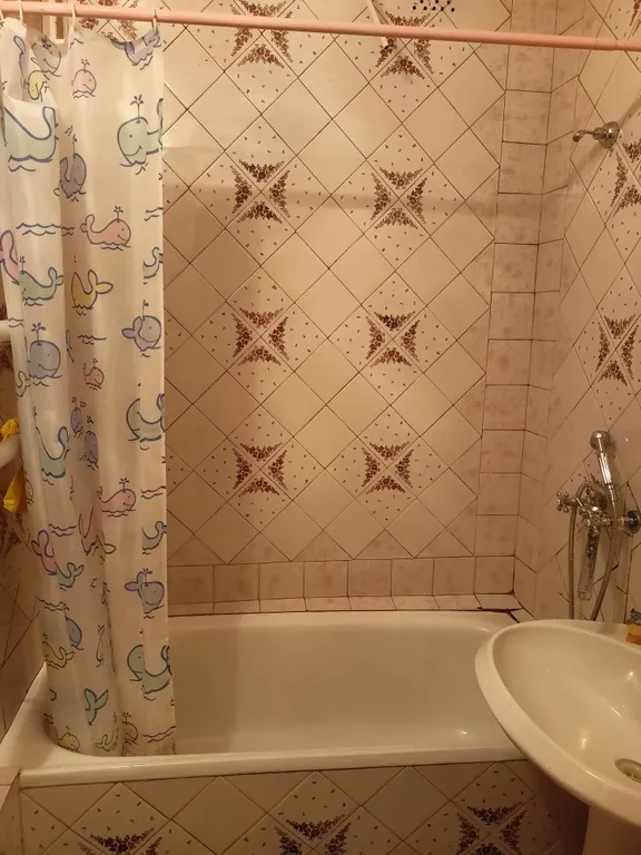 Уютная и просторная квартира