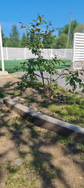 Загородный дом Погружение в себя