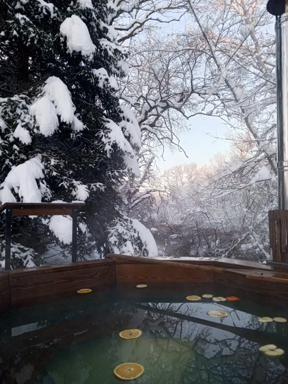 Коттедж Дом на берегу горной реки — Приреченский