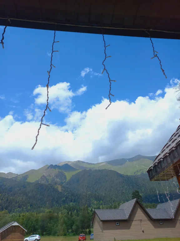 Soft House Гостевой дом на лесной поляне в центре