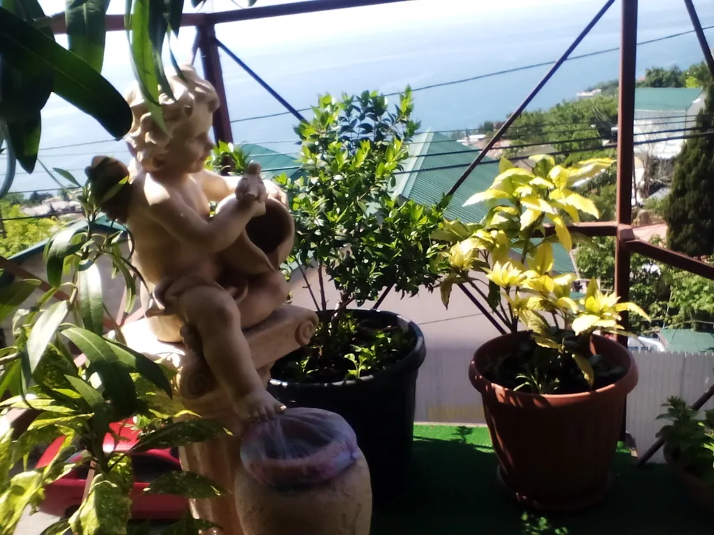 Видовая уютная студия с террасой