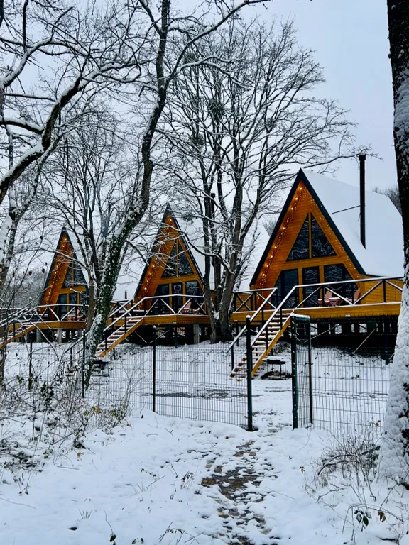 Дом с видом на лес рядом с горной рекой