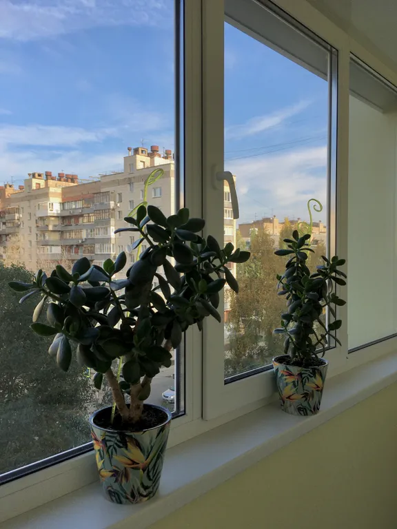 Квартира Квартира Солнечное настроение — Самара