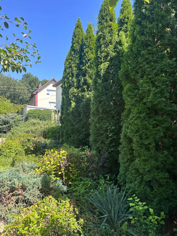 Континент - загородный оазис