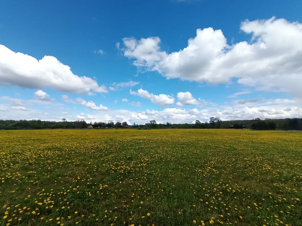 Дом в деревне