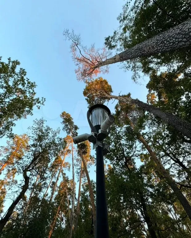 Уютная 2-комнатная квартира в сосновом лесу