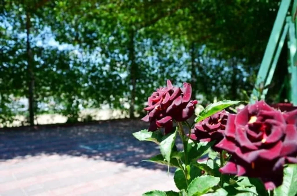 Дом под ключ ,, У Заира 2"