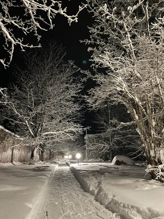 Коттедж на территории Усадьбы Сатори