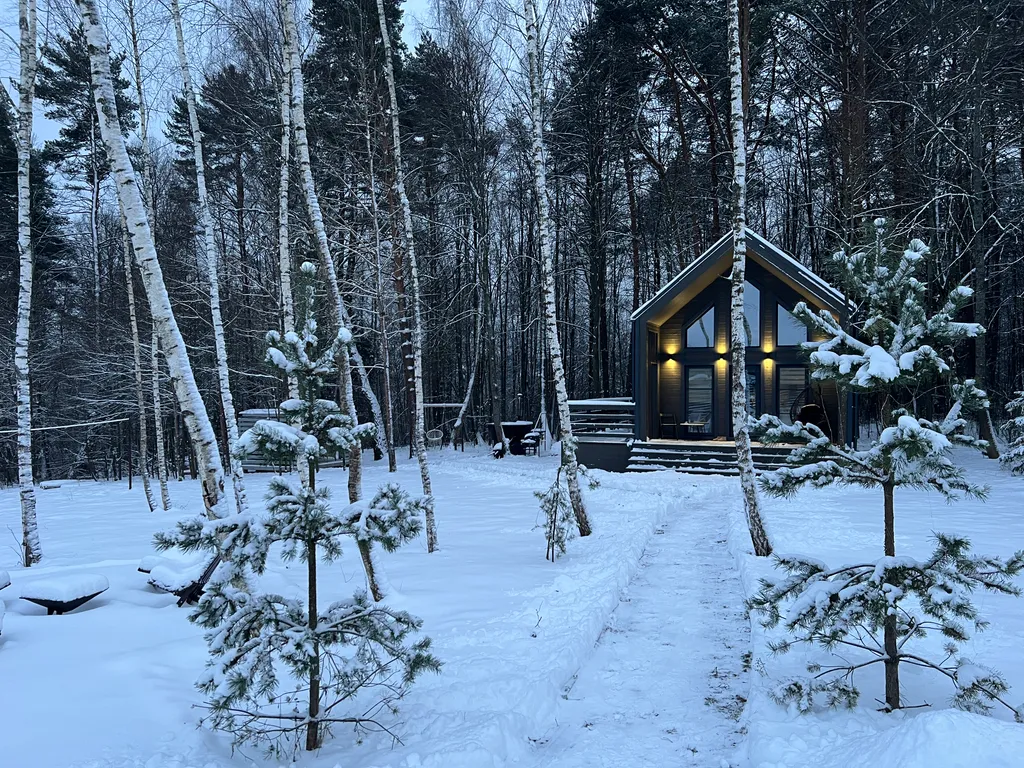 Барнхаус в окружении леса – здесь время течет иначе