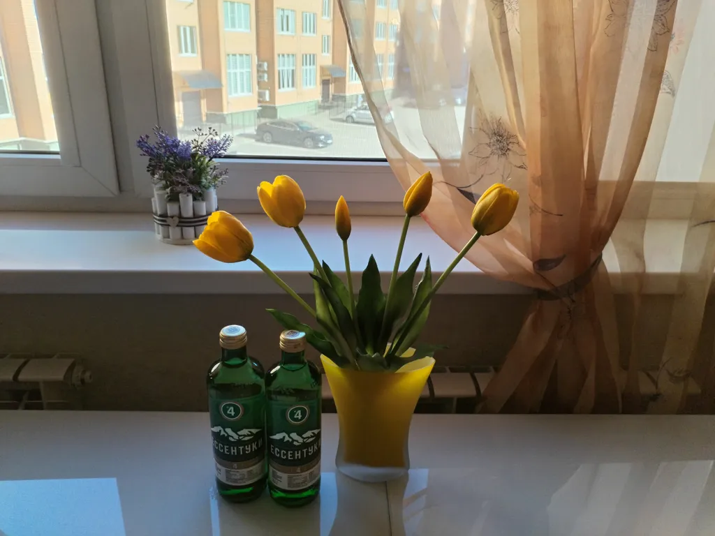 Уютная однокомнатная квартира около парка Победы, санатория Виктория