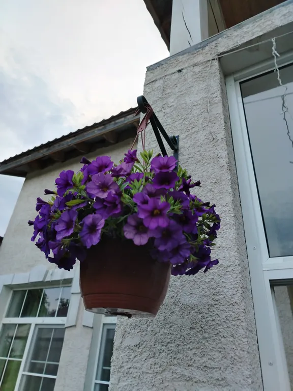 Уединенная часть дома с садом и барбекю