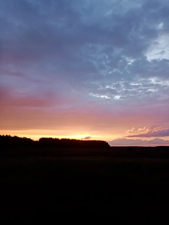 Усадьба в Беловежской пуще У Камина