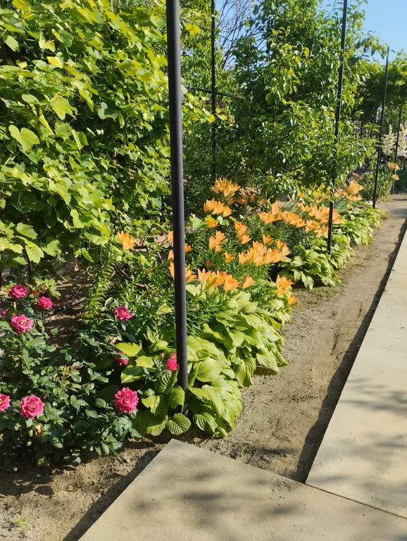 Квартира Комната для хорошего отдыха — Глафировка