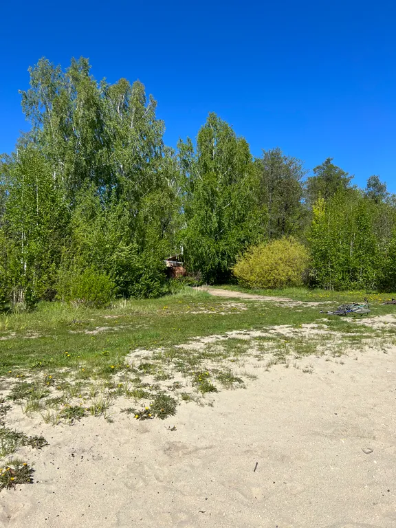 Шале с панорамными окнами и видом на озеро Чебаркуль