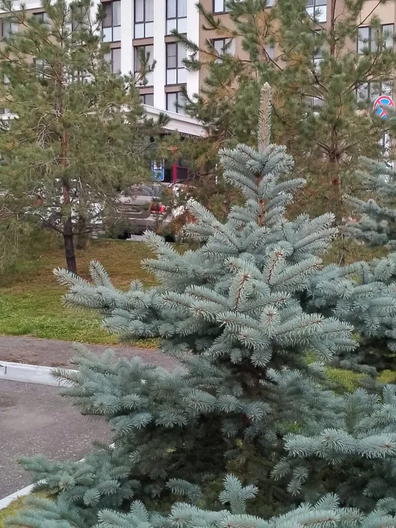 Уютная семейная квартира рядом с Ледовым дворцом