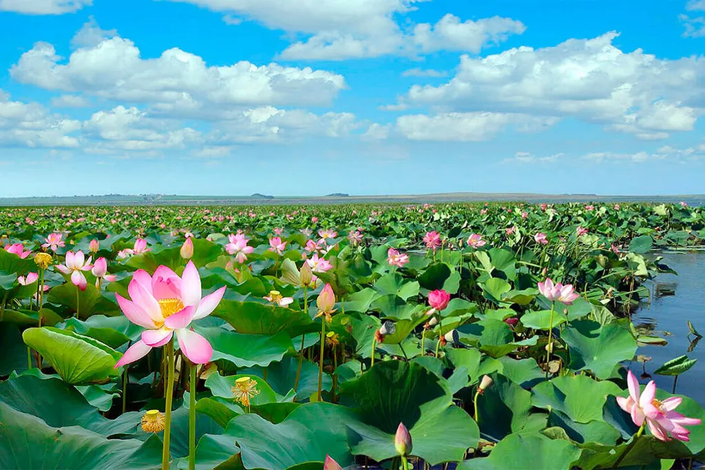 Номер люкс со своей террасой в замке у моря