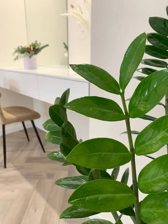 Дизайнерские  апартаменты