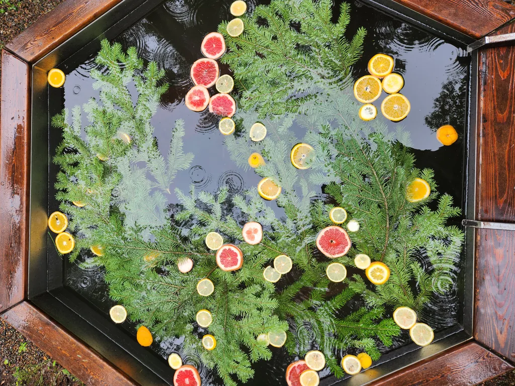 Дом в лесу с панорамным видом