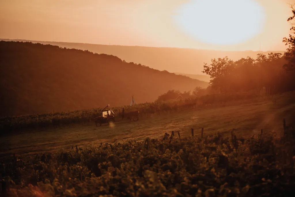 Эко-дом на виноградниках