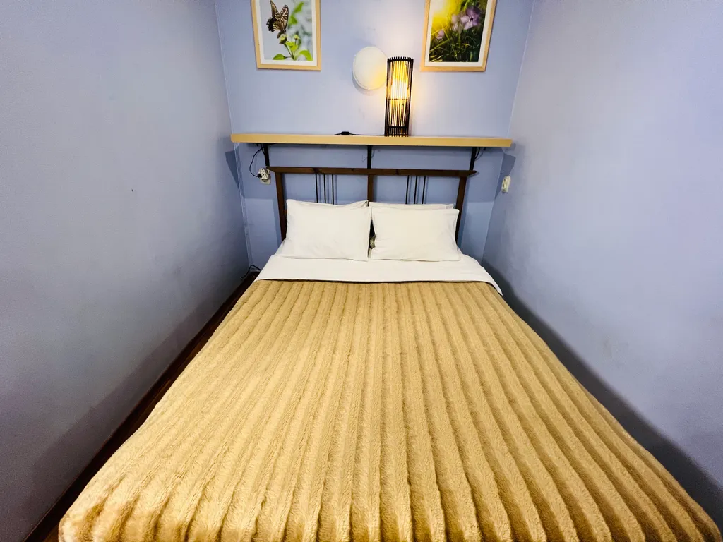 1-комнатная квартира в деловом и историческом центре города с новогодней елкой