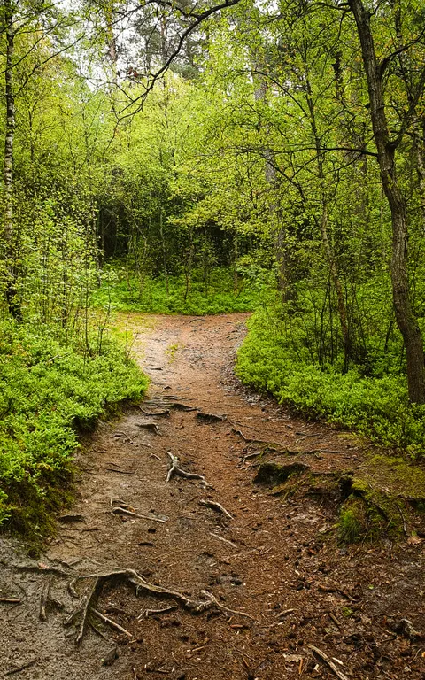 Уютные аппартаменты у Тихого озера