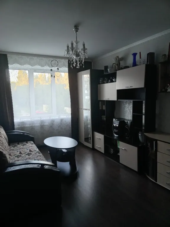 Квартира Уютная однушка в центре поселка — аренда посуточно в Пушкинские Горы