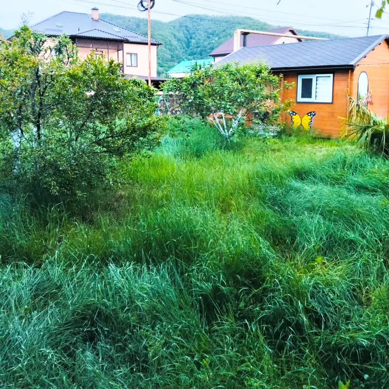 Домик на южном побережье